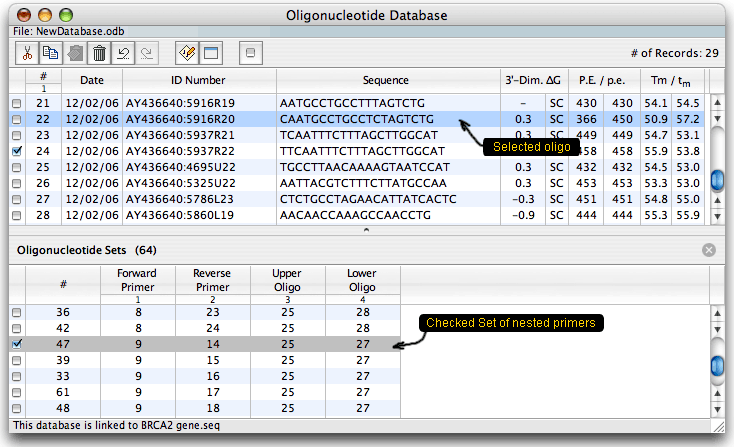 database window