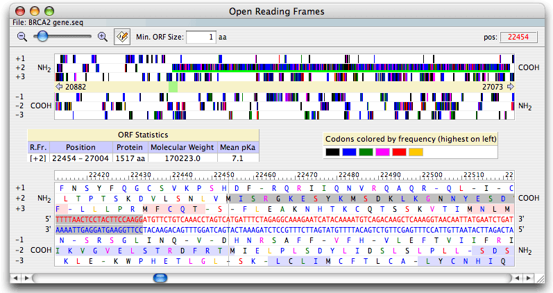 open reading frames analysis